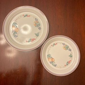 Discontinued corelle by Corning dinner and salad plate pattern Abundance